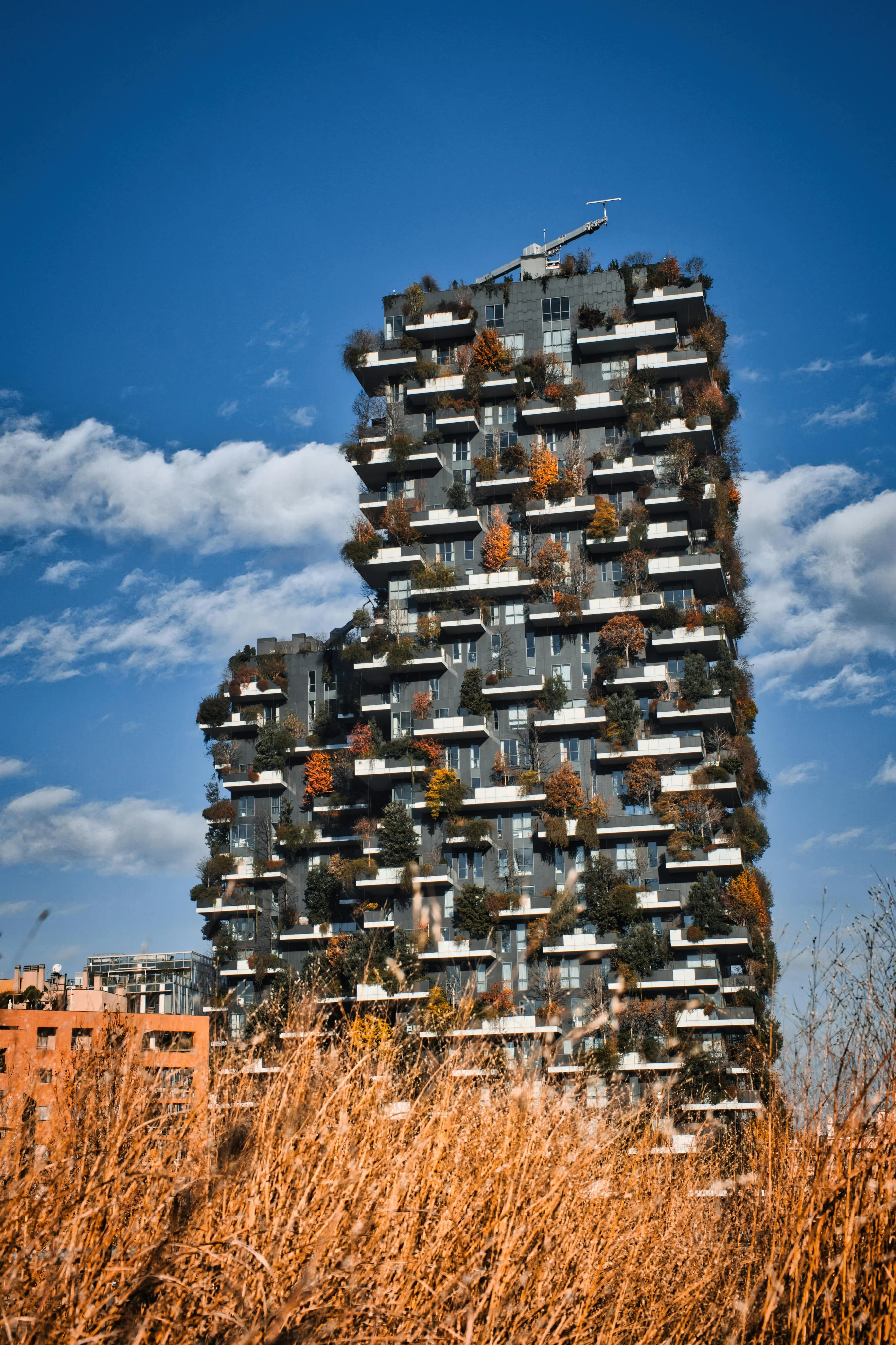 Strengthening Africa's Green Building Movement background